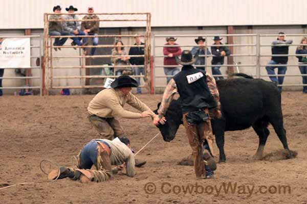 Ranch Rodeo, Equifest of Kansas, 02-12-11 - Photo 33