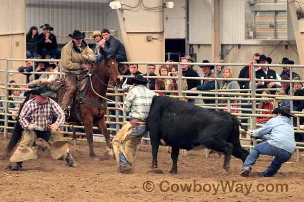 Ranch Rodeo, Equifest of Kansas, 02-12-11 - Photo 41