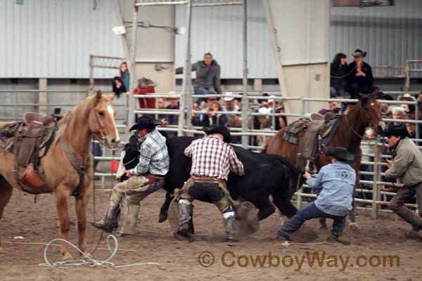 Ranch Rodeo, Equifest of Kansas, 02-12-11 - Photo 42