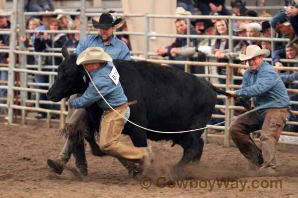 Ranch Rodeo, Equifest of Kansas, 02-12-11 - Photo 49