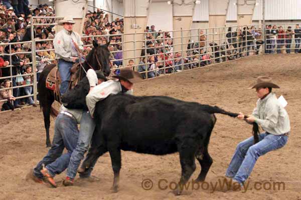 Ranch Rodeo, Equifest of Kansas, 02-12-11 - Photo 52