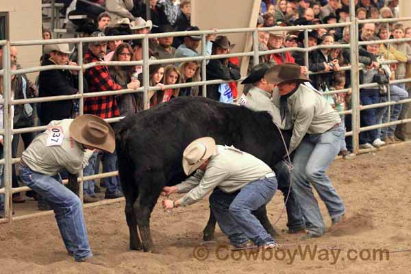 Ranch Rodeo, Equifest of Kansas, 02-12-11 - Photo 53