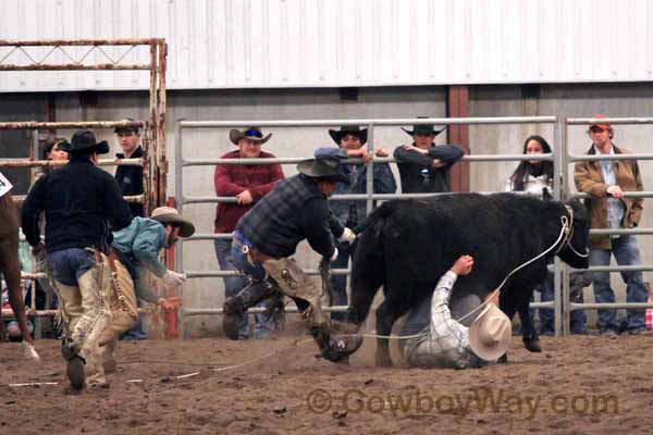 Ranch Rodeo, Equifest of Kansas, 02-12-11 - Photo 58