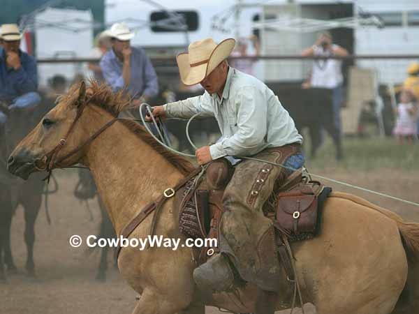 A roper catches a calf in the calf branding