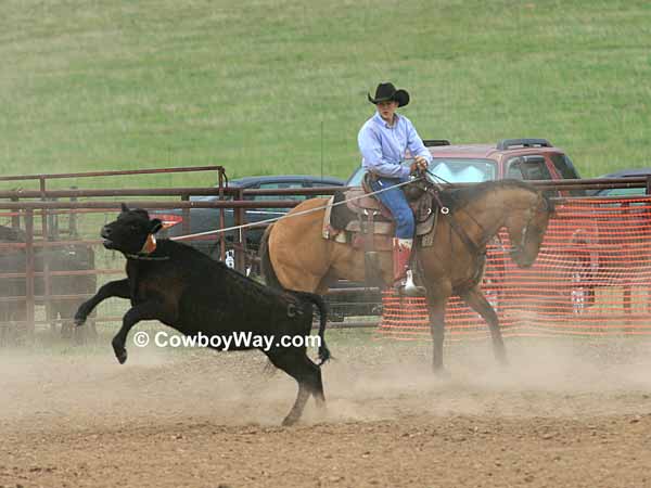 A young cowboy catches the team's steer