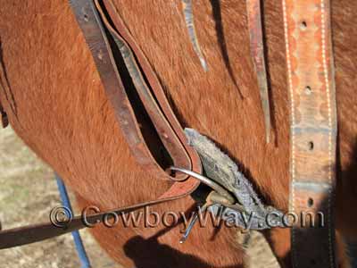 Close up of a regular cinch buckle
