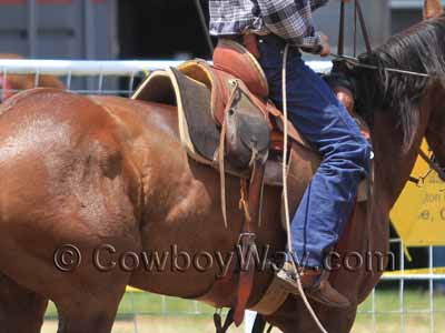 A roping saddle with an improperly adjusted back cinch