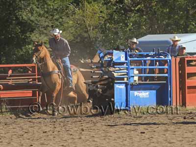 A steer coming out of the roping box