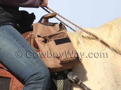 Pommel saddle bags on a horse