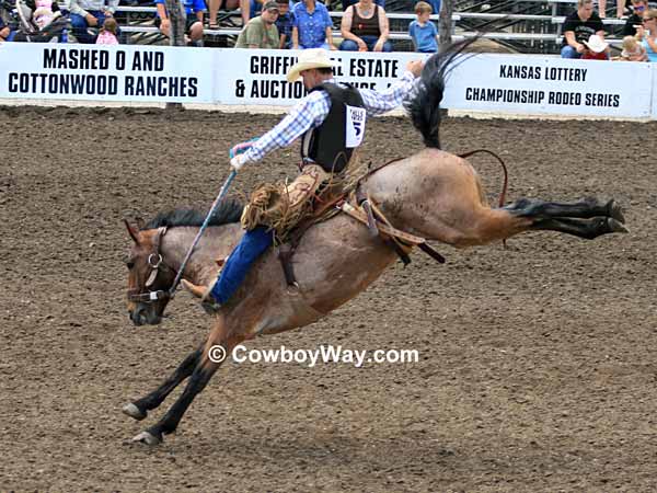 Saddle bronc rider making a ride