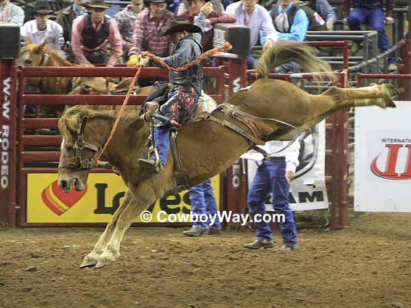 Saddle bronc riding