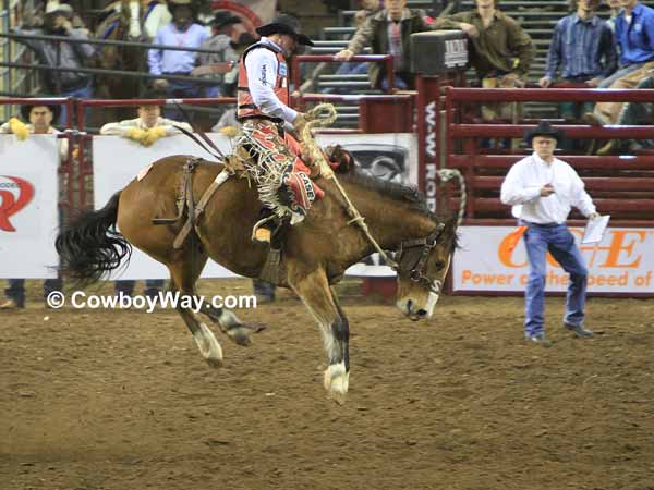 Saddle bronc rider