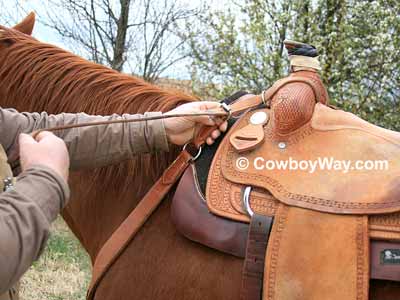 Buckle the breast collar