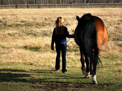 A girl and a horse walk away from the camera