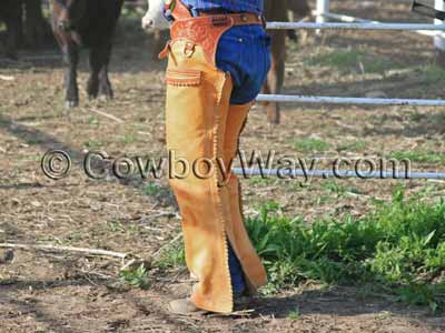 A cowboy wearing shotgun chaps