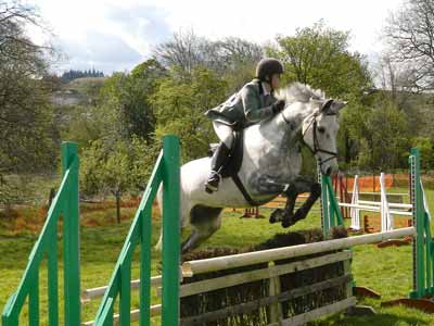 An ascending oxer with slanted wing jump standards