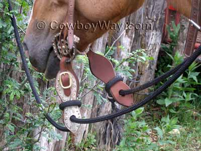 Slobber straps being used with a mecate