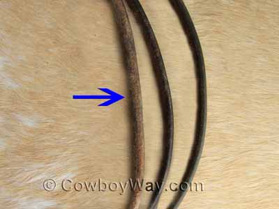 Weighted split reins, close up