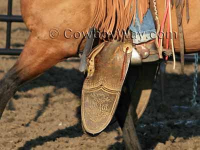 Tapaderos (hooded stirrups)