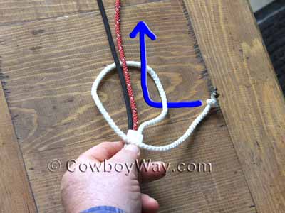 Matthew Walker Stopper Knot: Step 1