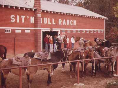 Trail riding saddles on horses in New York state