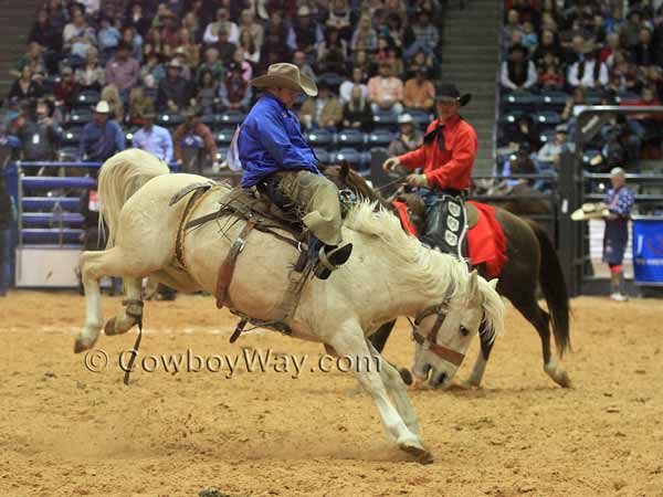 A ranch bronc rider on a palomino bronc