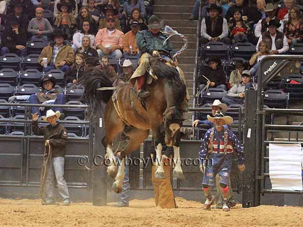 A ranch bronc rider rides a bay bronc