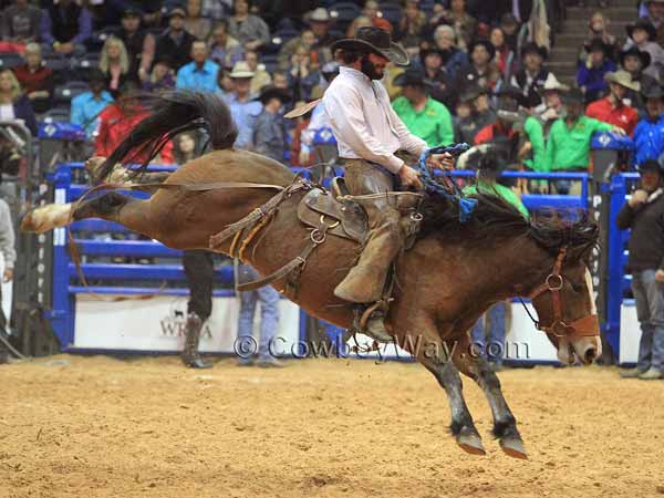 A WRCA ranch bronc rider