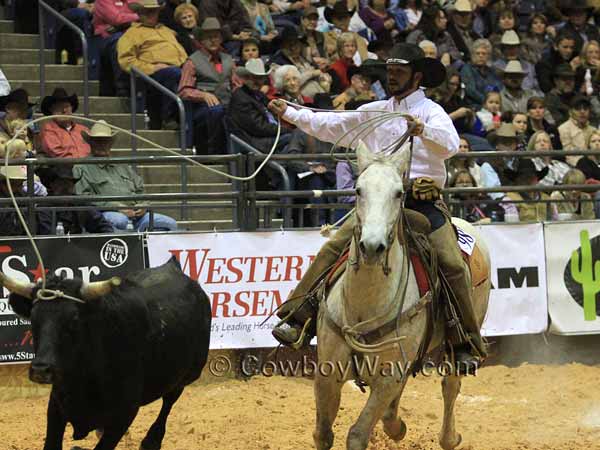 Stray gathering at a ranch rodeo