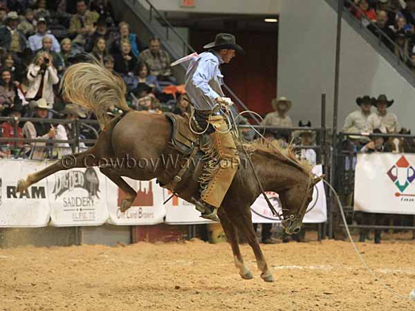 A bucking horse in the stray gathering