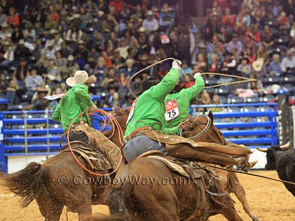 Three members of the team turn to chase their steer