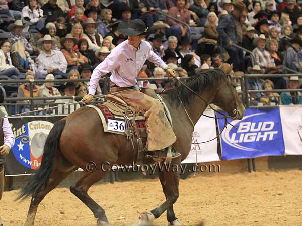 A rider takes a calf to his teammates to be branded