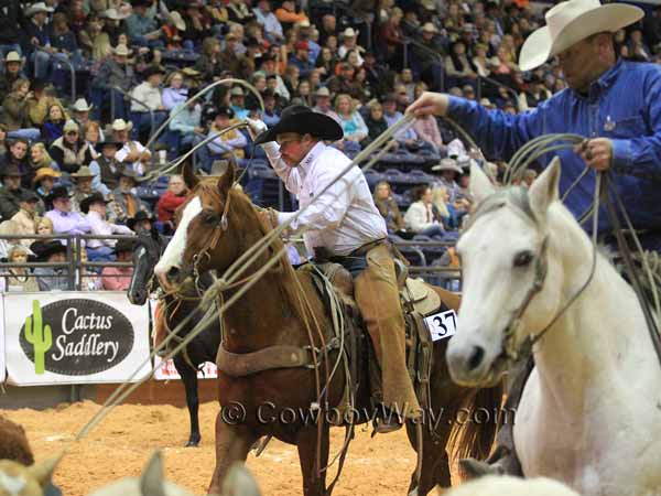 Two ropers enter a herd of calves