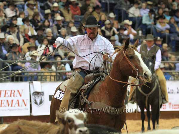 A rider prepares to rope a calf