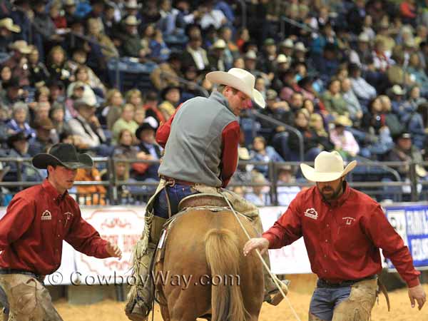 A ranch rodeo team brands a calf with chalk