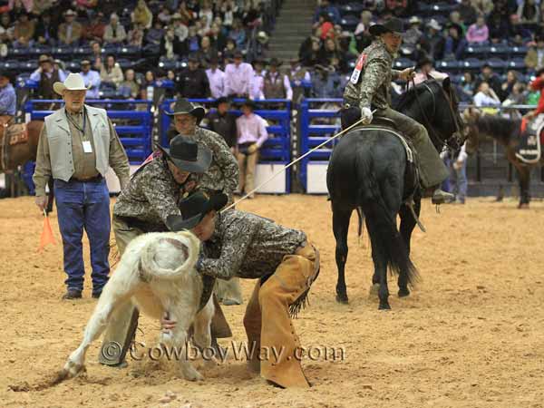 The ground crew prepares to brand a calf with chalk