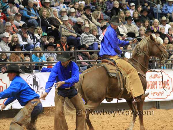 Swenson Cattle Company in the team branding