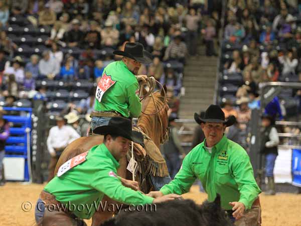 Three members of the same team prepare to brand a calf