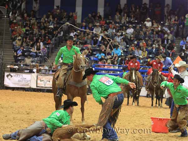 A team gets ready to brand a calf with chalk