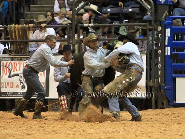 The Lonesome Pine team milks their cow