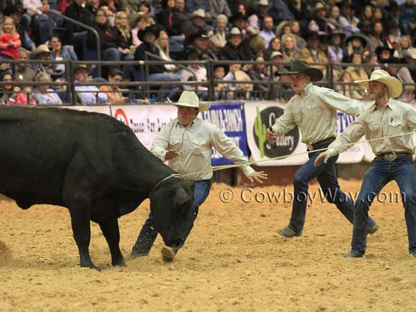 The Buford/Craig County Ranches team members move in on their cow