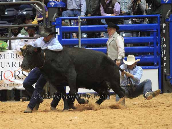 The Jolly Ranch / Lord Ranch team tries to milk their cow