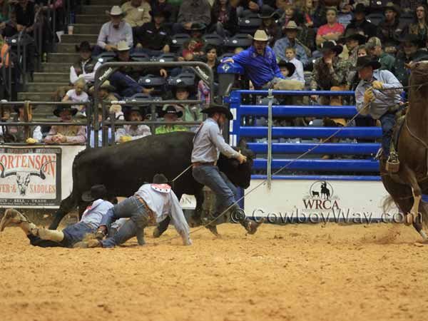 Three men on the ground and a man on a horse try to milk a cow