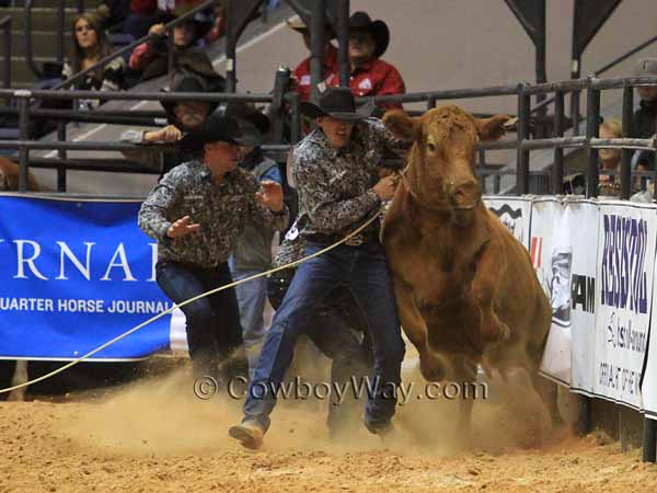 Three members of the Crutch ranch try to stop a cow