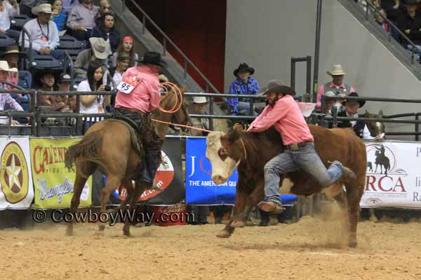 WRCA Ranch Rodeo, Wild Cow Milking, 11-07-14 SMR Ranch and Deseret Cattle