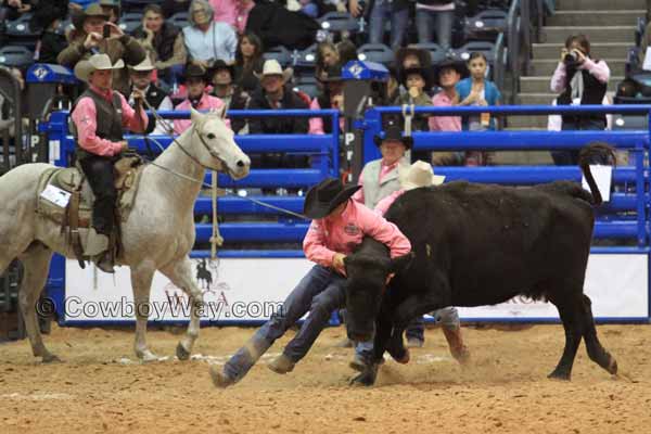 Beachner Brothers Livestock in the wild cow milking