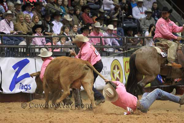 WRCA wild cow milking action: Stock Ranch and Diamond E Ranch