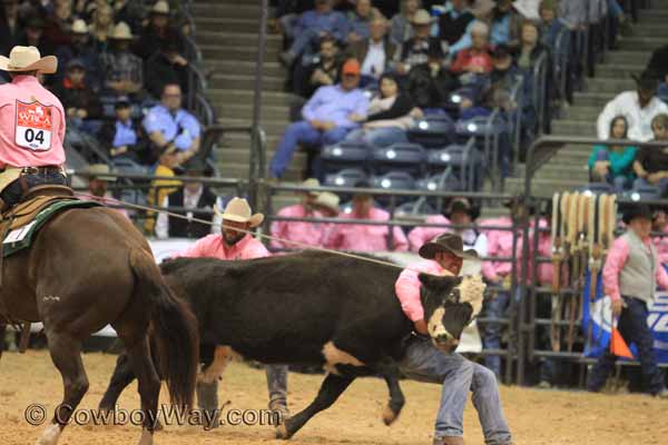 Angell Ranch Company in the WRCA Finals wild cow milking