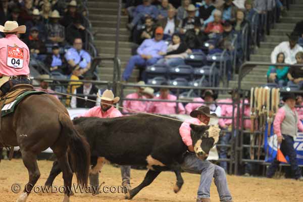 Angell Ranch Company in the WRCA Finals wild cow milking