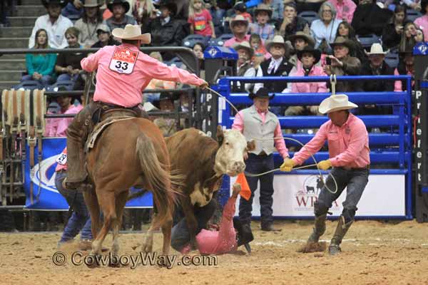 A wild cow runs over a cowboy in the wild cow milking event at a ranch rodeo